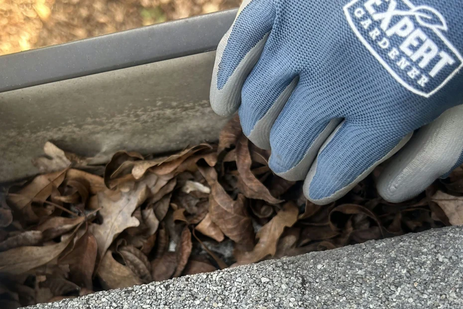 Gutter Cleaning Blue Ash