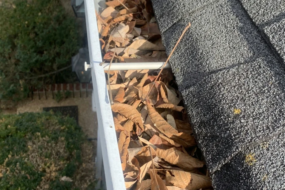 Gutter Cleaning Blue Ash